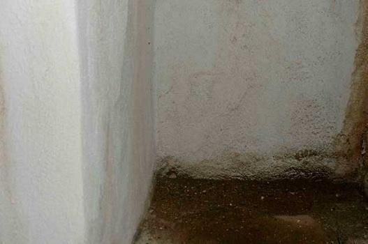 Experienced Mold 
& IAQ Inspector