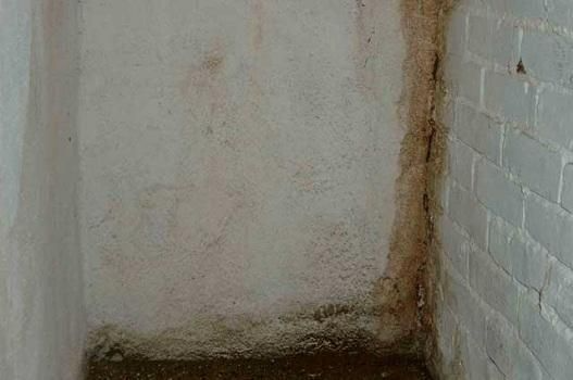 Experienced Mold 
& IAQ Inspector