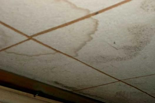 Experienced Mold 
& IAQ Inspector