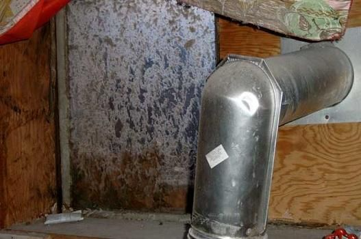 Experienced Mold 
& IAQ Inspector