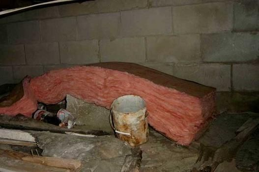 Experienced Mold 
& IAQ Inspector