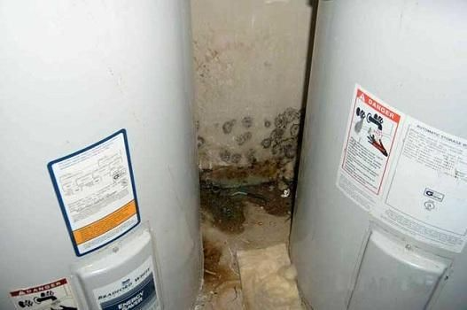 Experienced Mold 
& IAQ Inspector